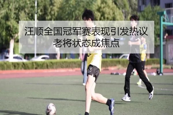 汪顺全国冠军赛表现引发热议 老将状态成焦点